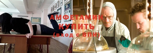 прущие грибы Абаза