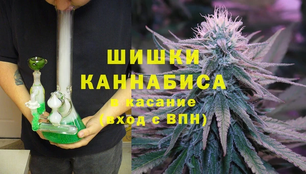прущие грибы Абаза