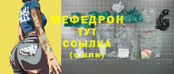 прущие грибы Абаза