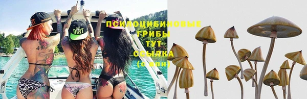 первитин Абдулино